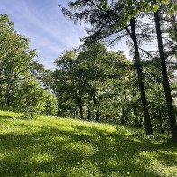 IMG_8889(1).jpg