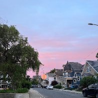 IMG_8881.JPG