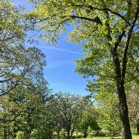 IMG_8799(2).jpg