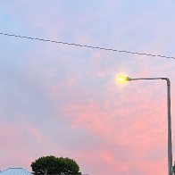IMG_8882.JPG