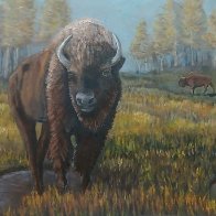 buffalo.jpg