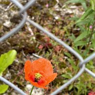 IMG_7198.jpeg