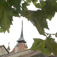 IMG_1868.jpeg