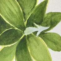 IMG_0988.jpeg
