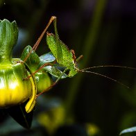 D7500_47632-Edit.jpg