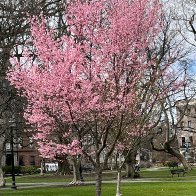 IMG_8618.JPG