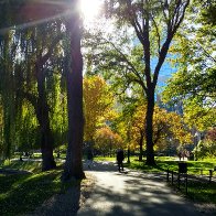IMG_20161108_131849882_HDR.jpg