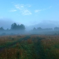 2016-07-23 05.54.08.jpg