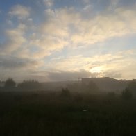 2016-07-23 05.54.04.jpg