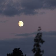 IMG_1343 (1).JPG