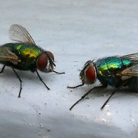 P1011430.JPG