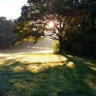 IMG_20161007_073544524_HDR.jpg
