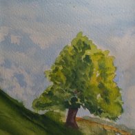 Belmont Tree.jpg