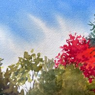 IMG_9622.jpeg