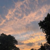 IMG_6077.jpeg