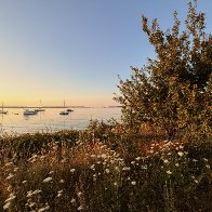 IMG_2215.jpeg