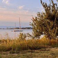 IMG_2006.jpeg