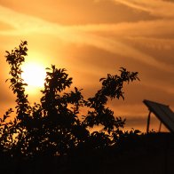 IMG_1631.JPG