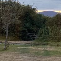 view from living room window.jpeg