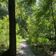 IMG_9610.jpeg