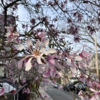 IMG_8686.JPG