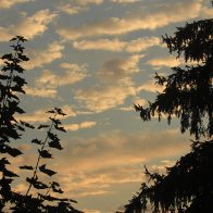 IMG_1899.JPG
