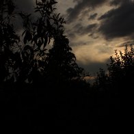 IMG_1871.JPG
