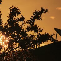 IMG_1912.JPG