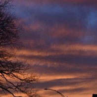 DSC_0042.jpeg