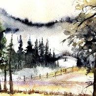 Fog Amonst the Pines.JPG