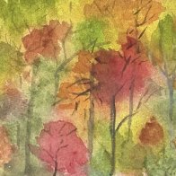IMG_1100.jpeg