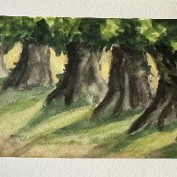 IMG_1137.jpeg