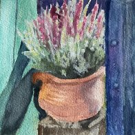 IMG_1165.jpeg
