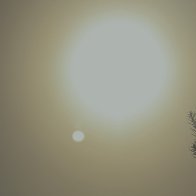 IMG_4006.JPG