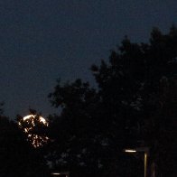 Pleine lune montante le 29.07.2026.JPG