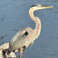 IMG_9211.jpeg