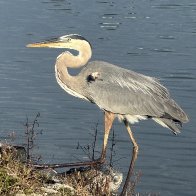 IMG_9207.jpeg