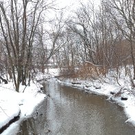 IMG_4220.jpeg