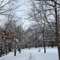 IMG_4165.jpeg