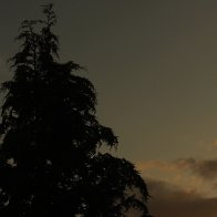 IMG_4509.JPG