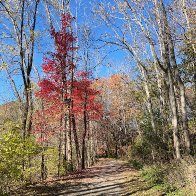 IMG_7364.jpeg