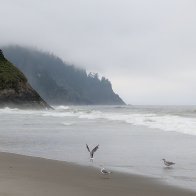 IMG_20170809_161443.jpg
