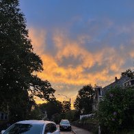 IMG_6333.jpeg