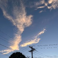 IMG_9692.jpeg