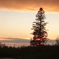 20260716_205501_HDR~2.jpg