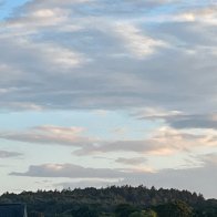 IMG_9667.jpeg