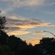IMG_9707.jpeg