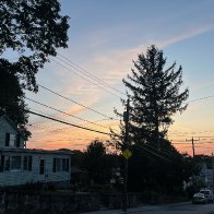 IMG_9751.jpeg