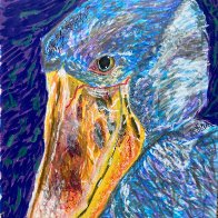 shoebill.jpg