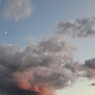 1000051204.jpg
